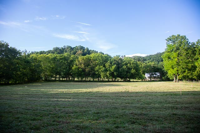 6822 Arno-Allisona Road College Grove, TN 37046 - Photo 2 of 24 a view of a green field with trees in the background
