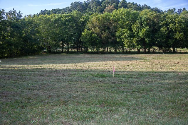 6822 Arno-Allisona Road College Grove, TN 37046 - Photo 3 of 24 a view of a yard