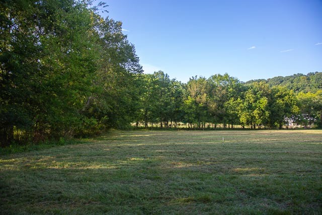 6822 Arno-Allisona Road College Grove, TN 37046 - Photo 7 of 24 a view of a grassy field with trees