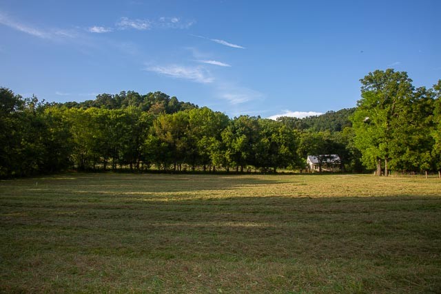6822 Arno-Allisona Road College Grove, TN 37046 - Photo 10 of 24 a view of a tennis court
