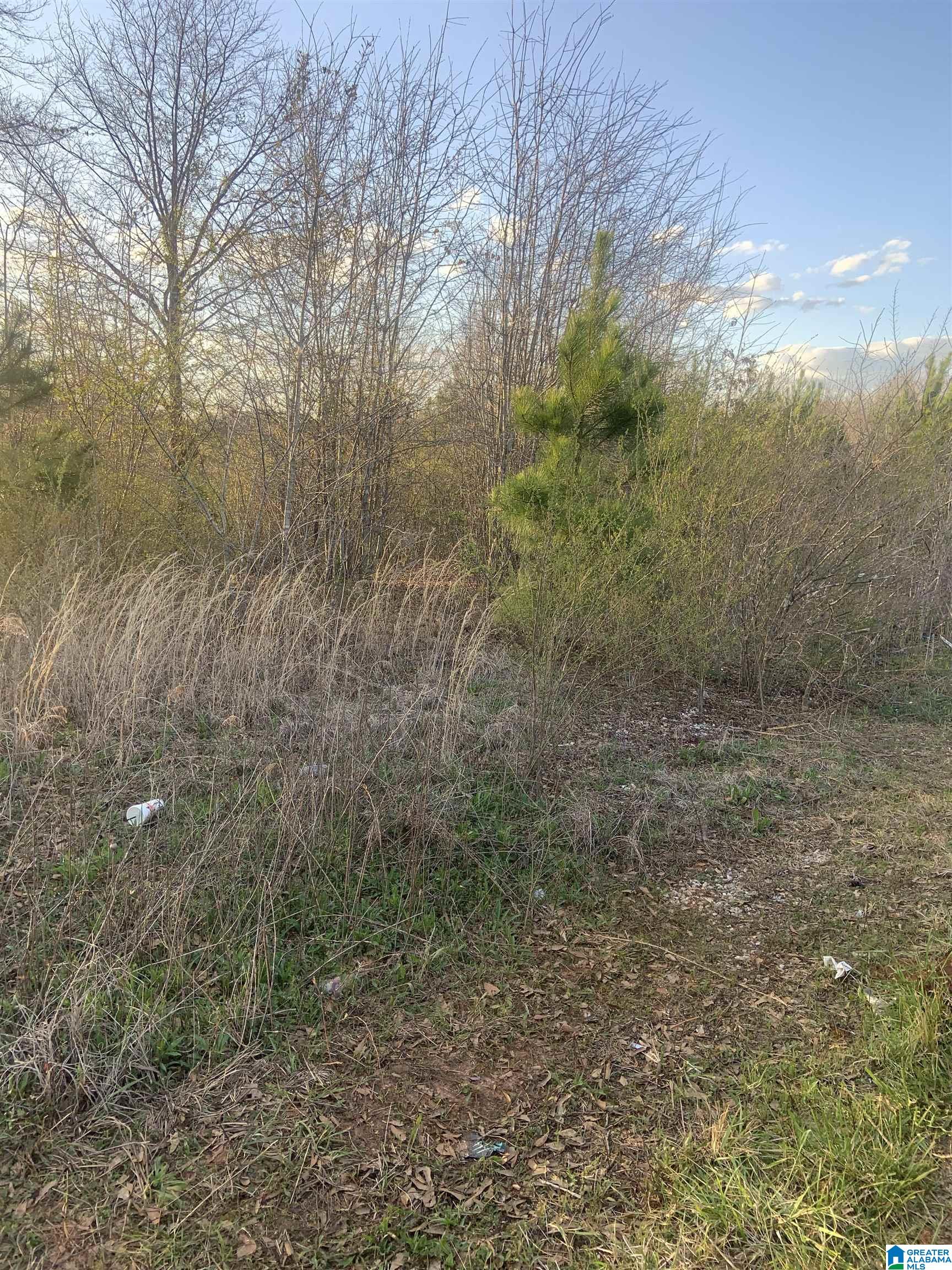 0 Providence Road, Unit 71 ACRES Talladega, AL 35160 - Photo 6 of 9