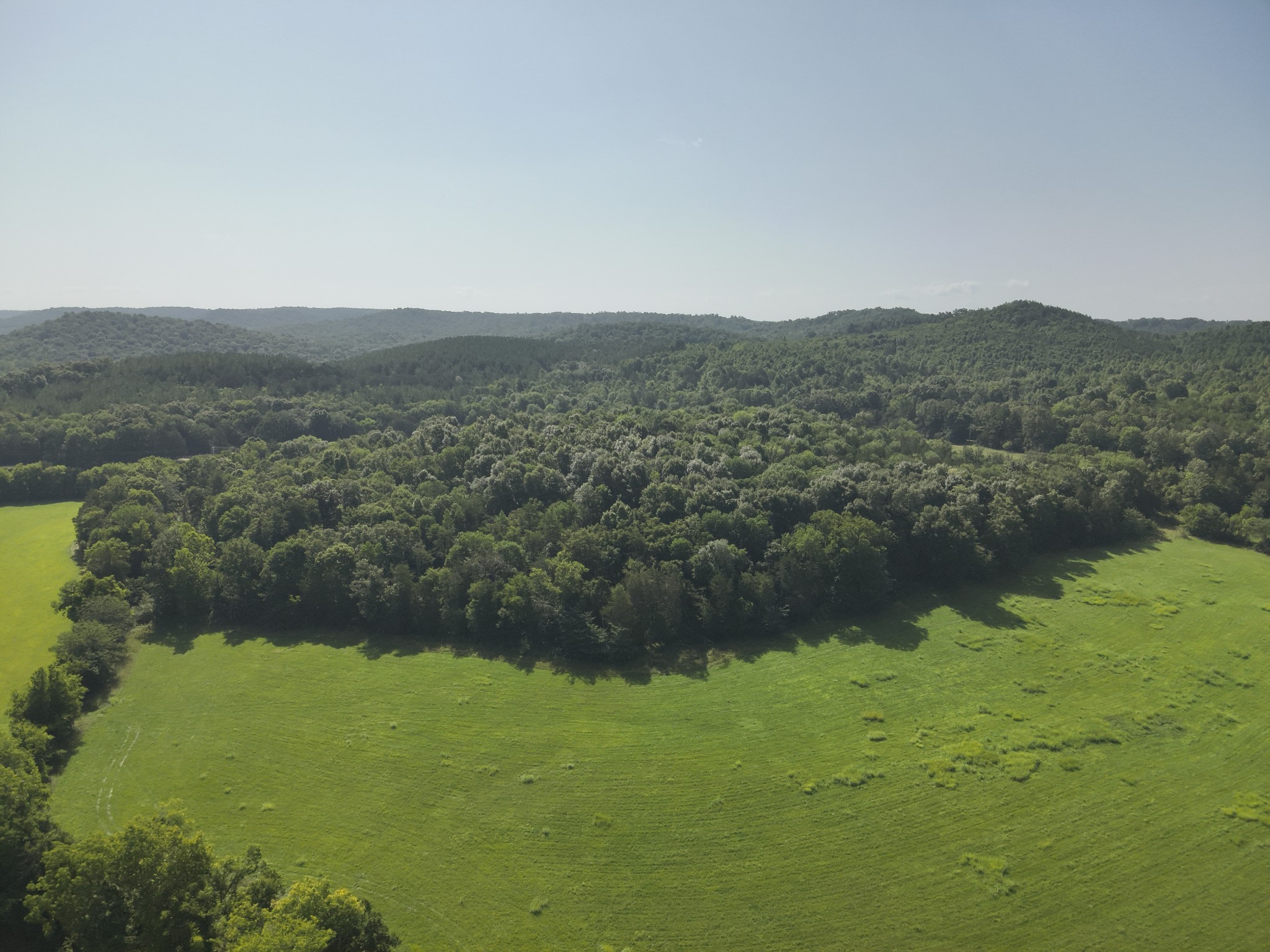 0 Culps Bend Road Clifton, TN 38425 - Photo 6 of 41