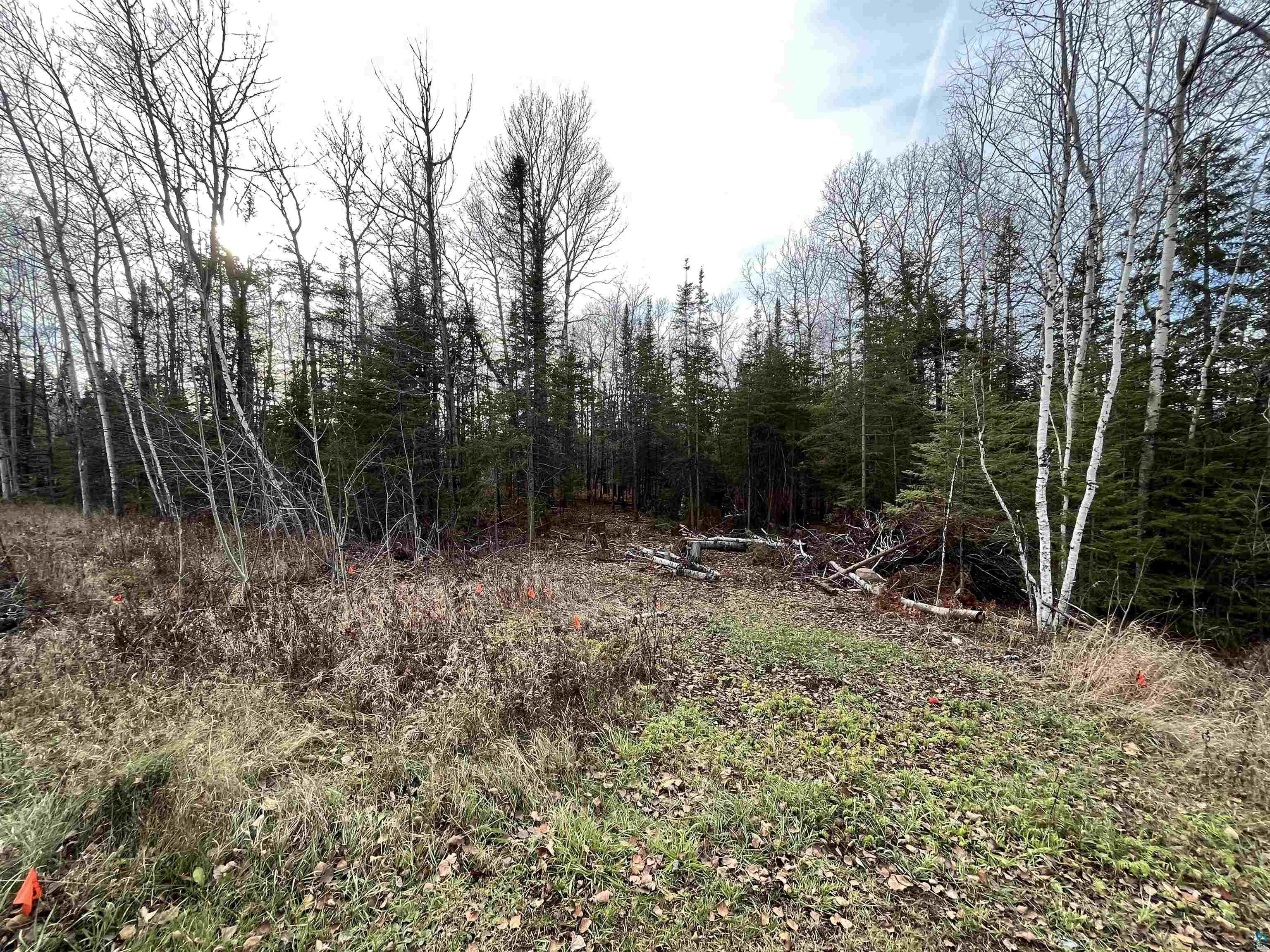 4541 Midway Road Hermantown, MN 55811 - Photo 1 of 3 Gallery Image 1