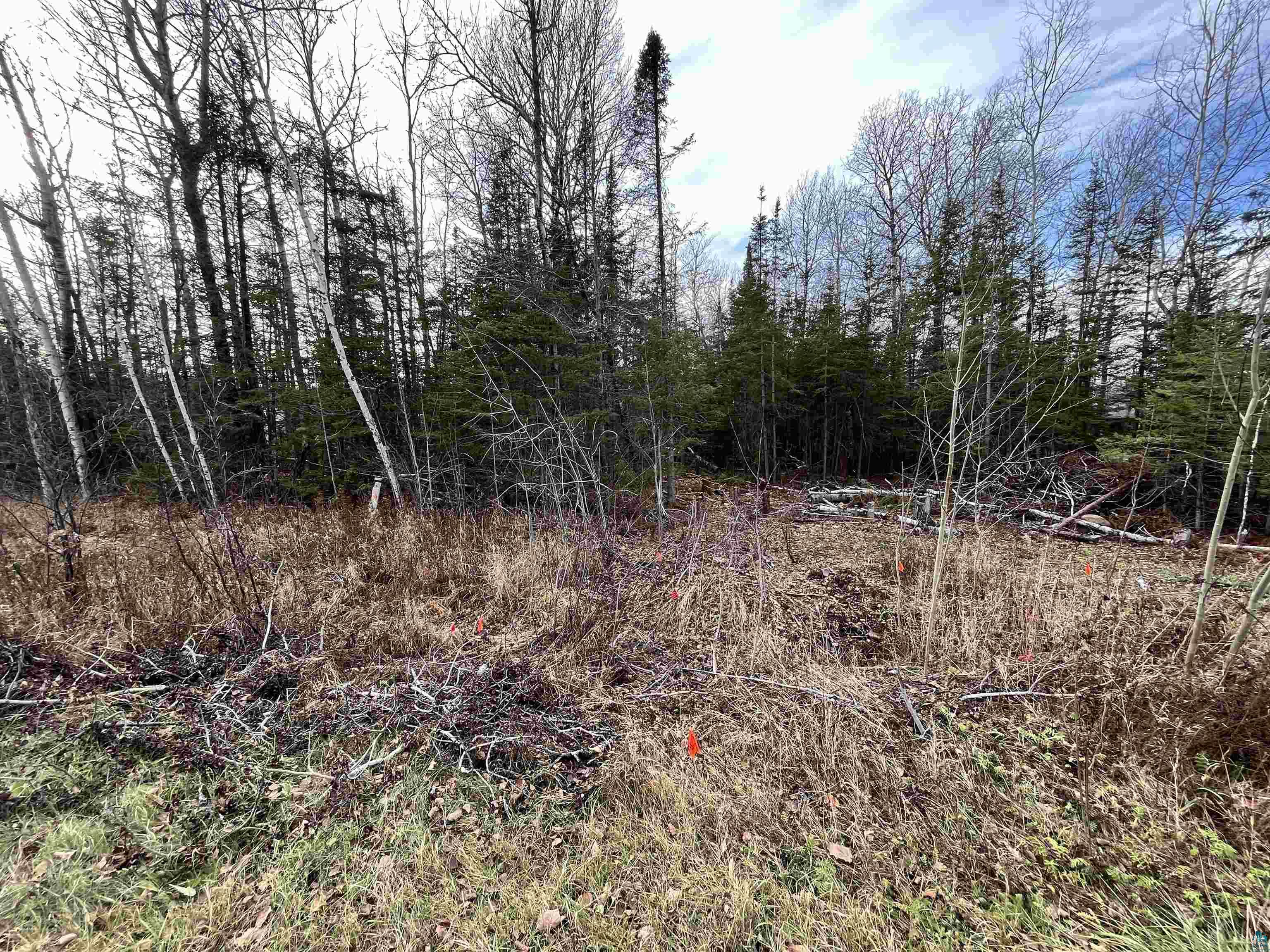 4541 Midway Road Hermantown, MN 55811 - Photo 3 of 3 Gallery Image 3