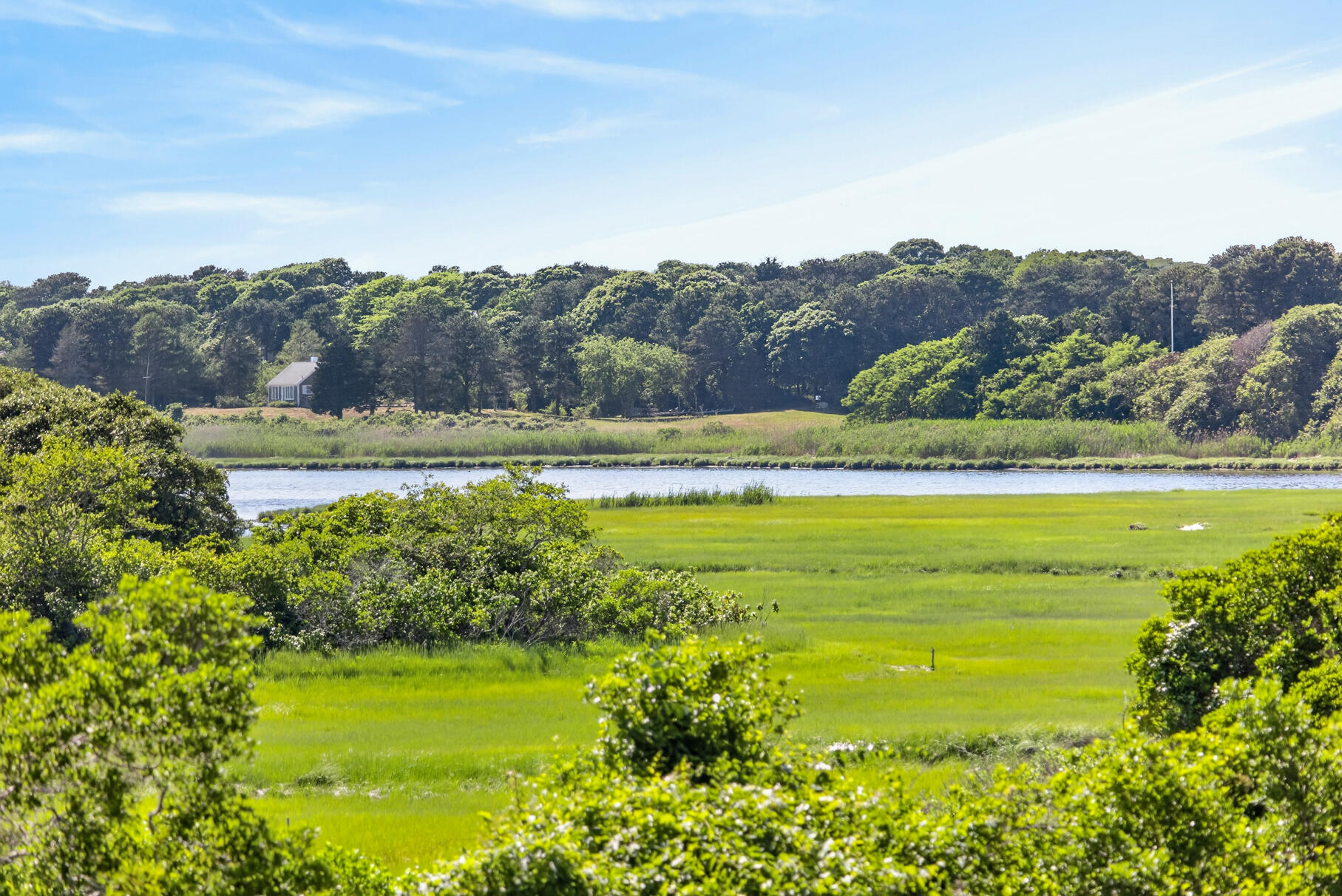 26 Hardings Beach Road Chatham, MA 02633 - Photo 9 of 51 43-PF0A9194