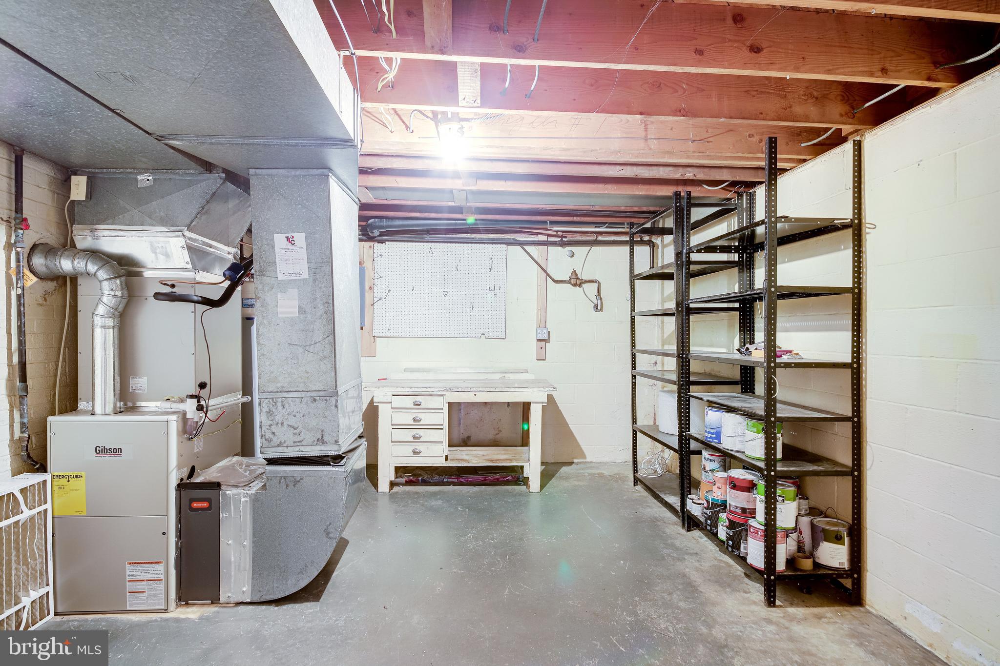 52 Blue Ridge Street Warrenton, VA 20186 - Photo 37 of 49 Basement storage space