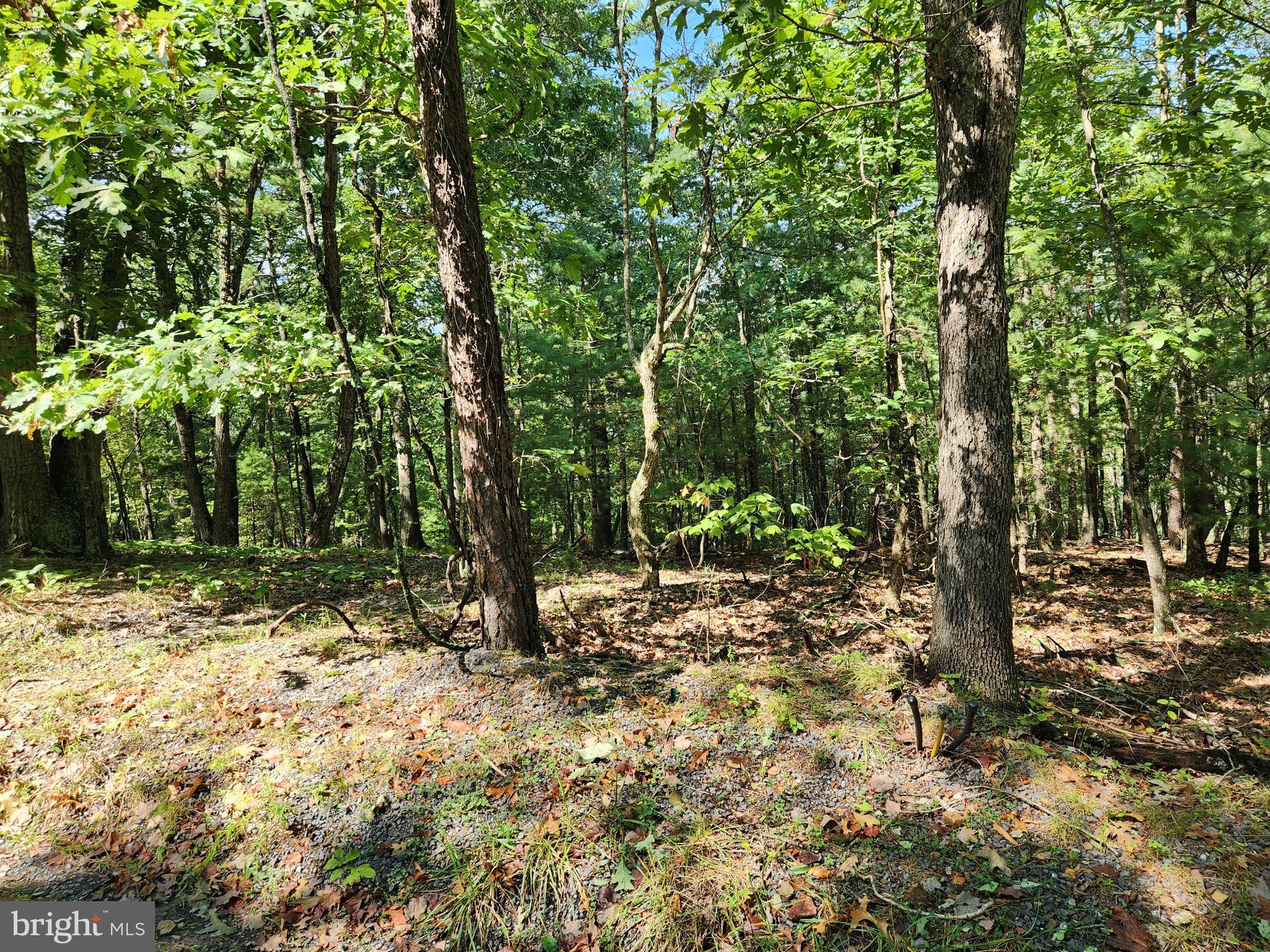 Polk Basye, VA 22810 - Photo 2 of 2