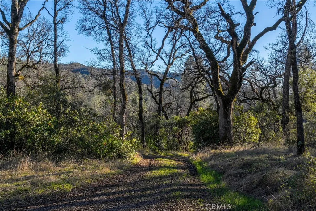 0 Crown Point Road Magalia, CA 95954 - Photo 28 of 39 a view of a yard with plants and trees