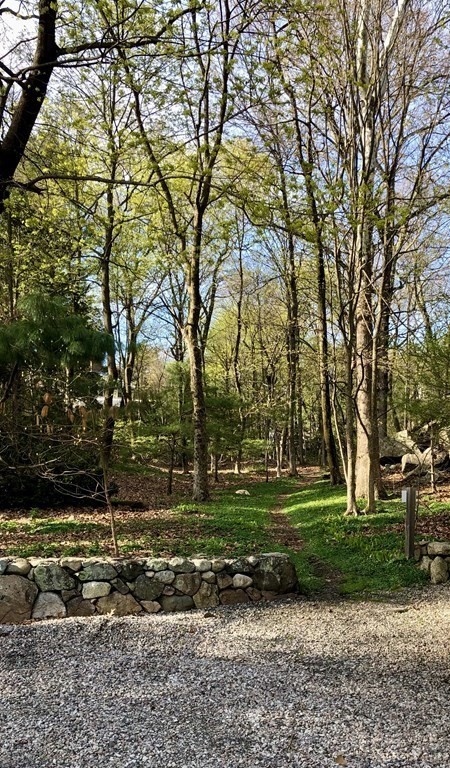 35 Sawyer Road Wellesley, MA 02481 - Photo 26 of 27 a view of a park that has large trees
