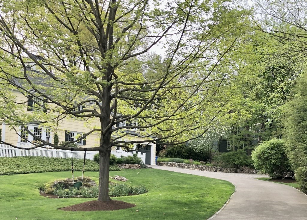 35 Sawyer Road Wellesley, MA 02481 - Photo 27 of 27 a view of a yard with plants and trees