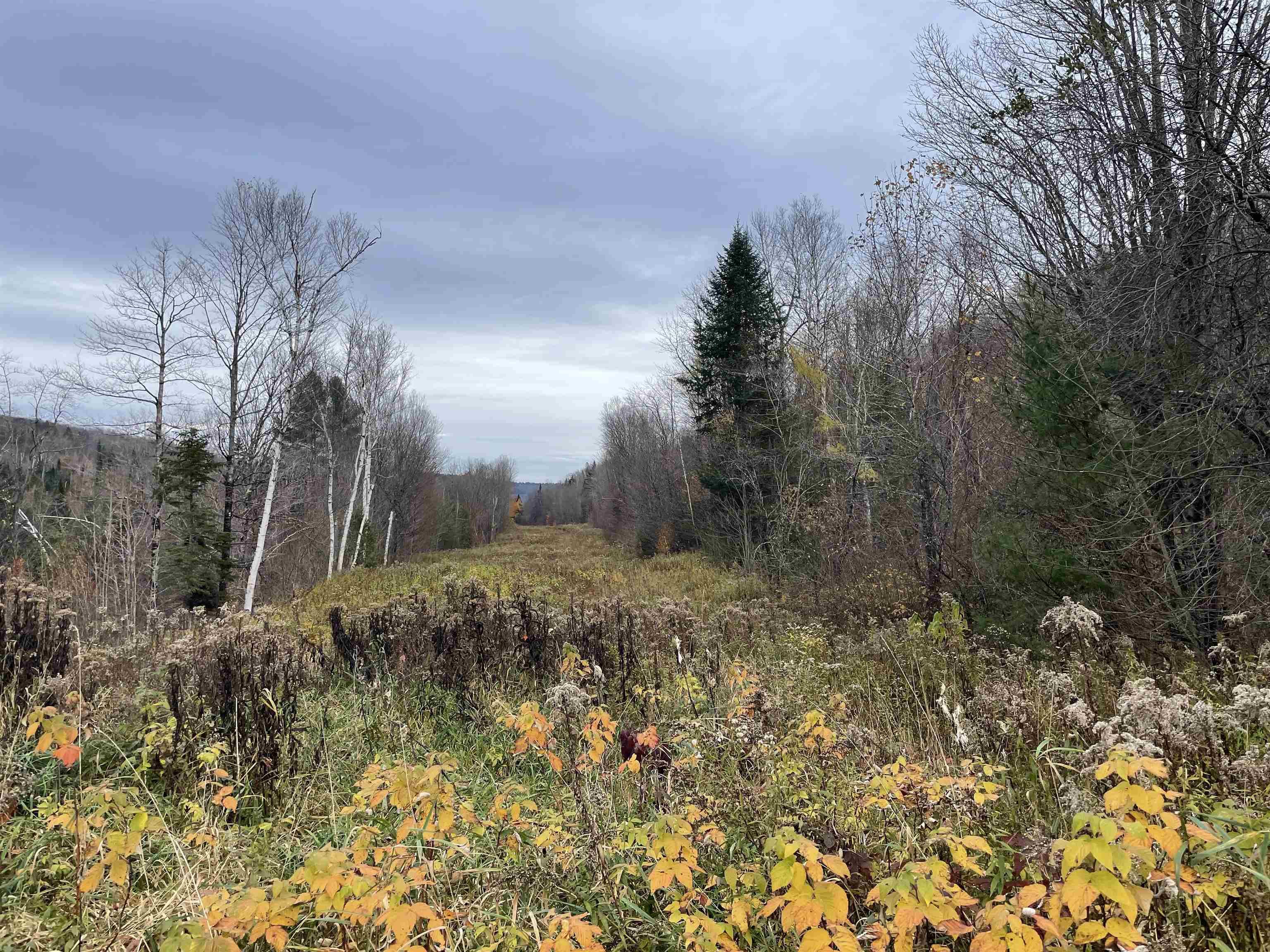 4758 Underpass Road Sutton, VT 05867 - Photo 11 of 20