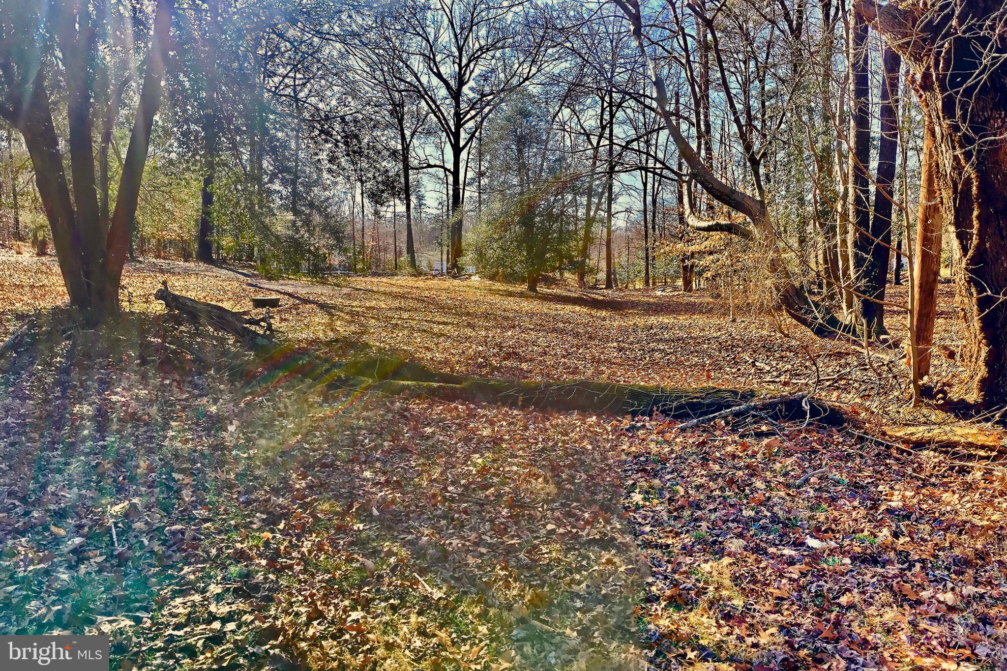16001 Accolawn Road Accokeek, MD 20607 - Photo 9 of 14