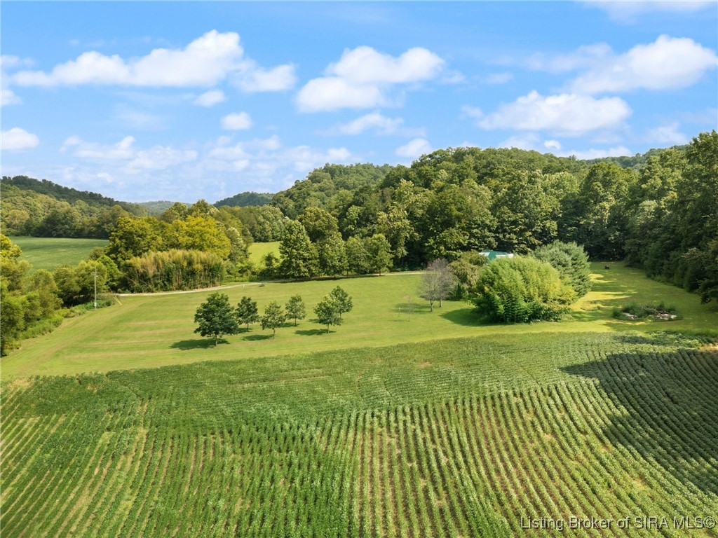 3977 East Nicholson Hollow Road Salem, IN 47167 - Photo 24 of 29 Gallery Image 24