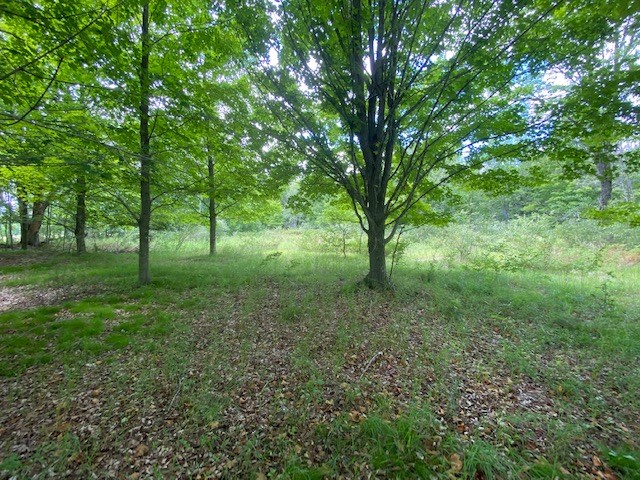 Lot 2 West Meadow Road Fish Creek, WI 54212 - Photo 10 of 40