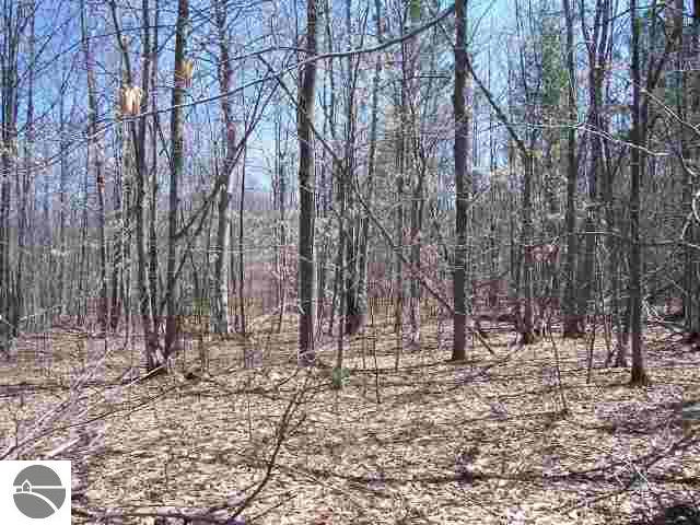 Off Wartella Road Cheboygan, MI 49721 - Photo 2 of 7 1691825-1.JPG