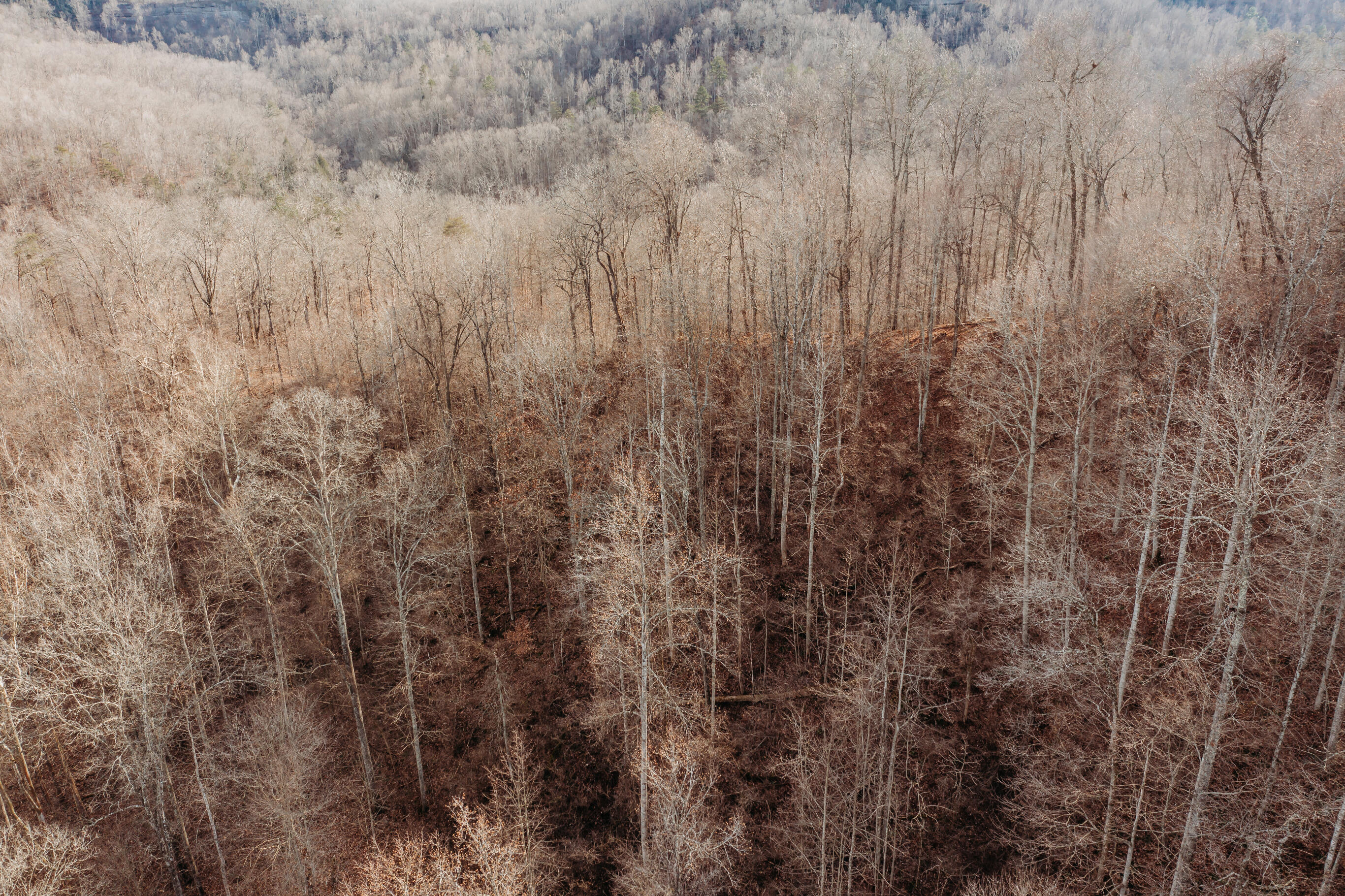 9999-tbd Ratliff Road Frenchburg, KY 40322 - Photo 13 of 19 DJI_0477