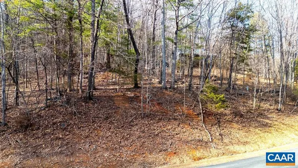 a view of outdoor space with lots of trees