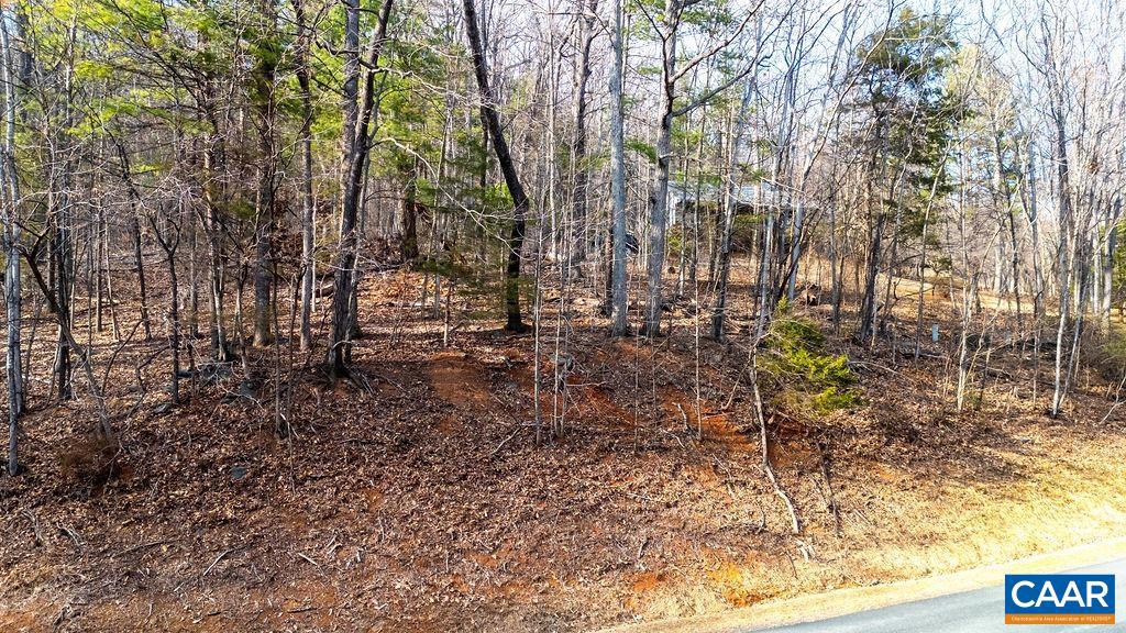 Lot 28 Stone Chimneys Road, Unit 28 Nellysford, VA 22958 - Photo 3 of 16 a view of outdoor space with lots of trees