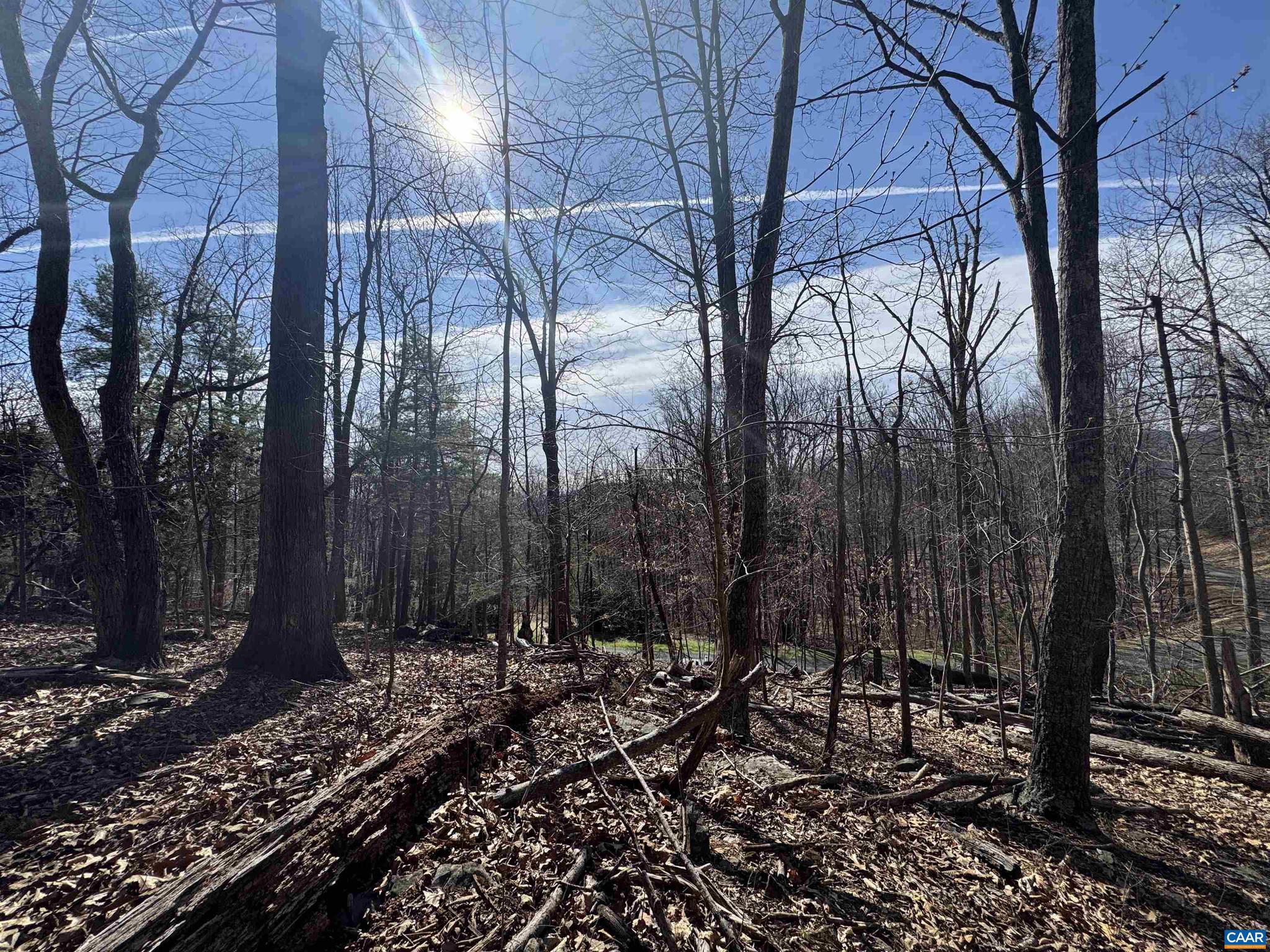 Lot 28 Stone Chimneys Road, Unit 28 Nellysford, VA 22958 - Photo 6 of 16 a view of a backyard of the house