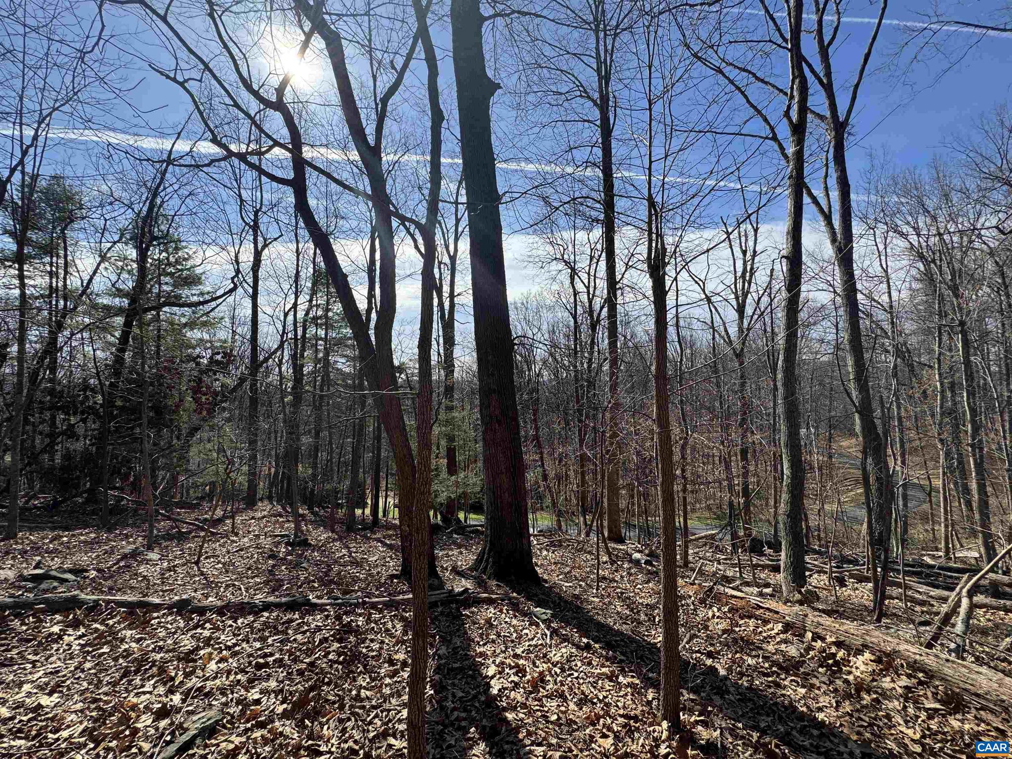 Lot 28 Stone Chimneys Road, Unit 28 Nellysford, VA 22958 - Photo 7 of 16 a view of outdoor space with lots of trees