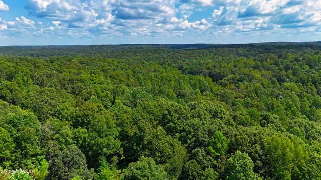 a view of an outdoor space and trees