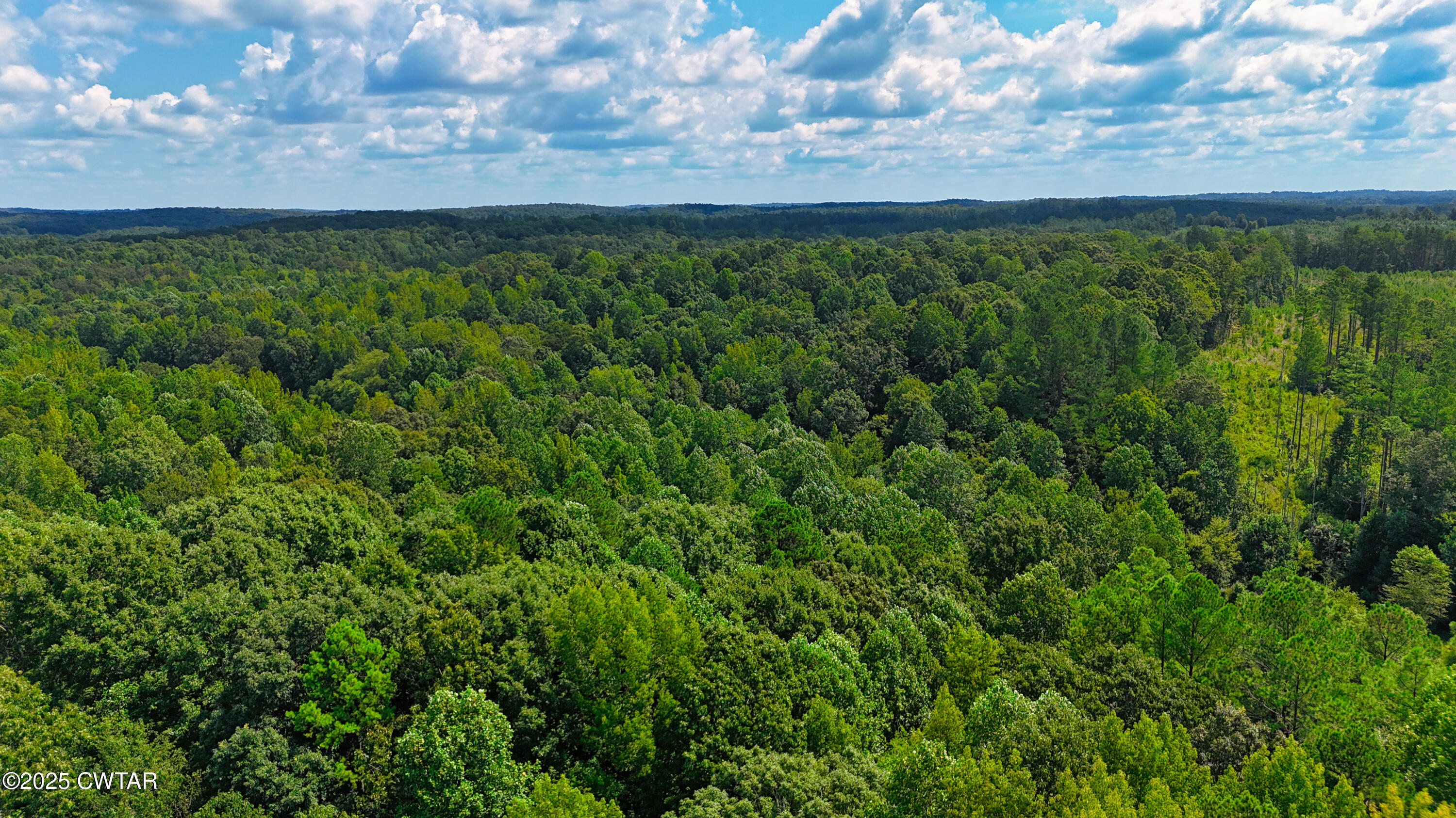 1575 Hurst Road Henderson, TN 38340 - Photo 2 of 7 a view of a field of grass and trees
