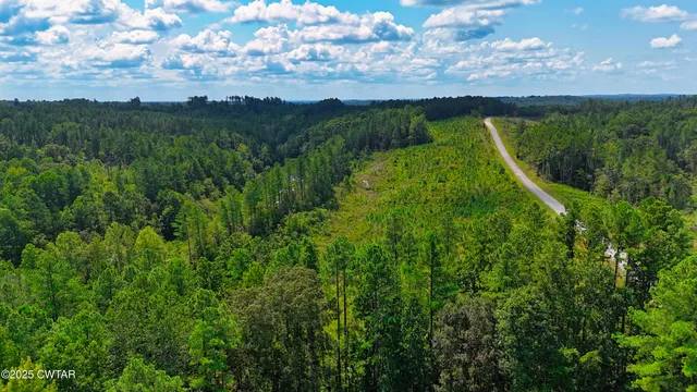 a view of a lush green forest with lots of trees
