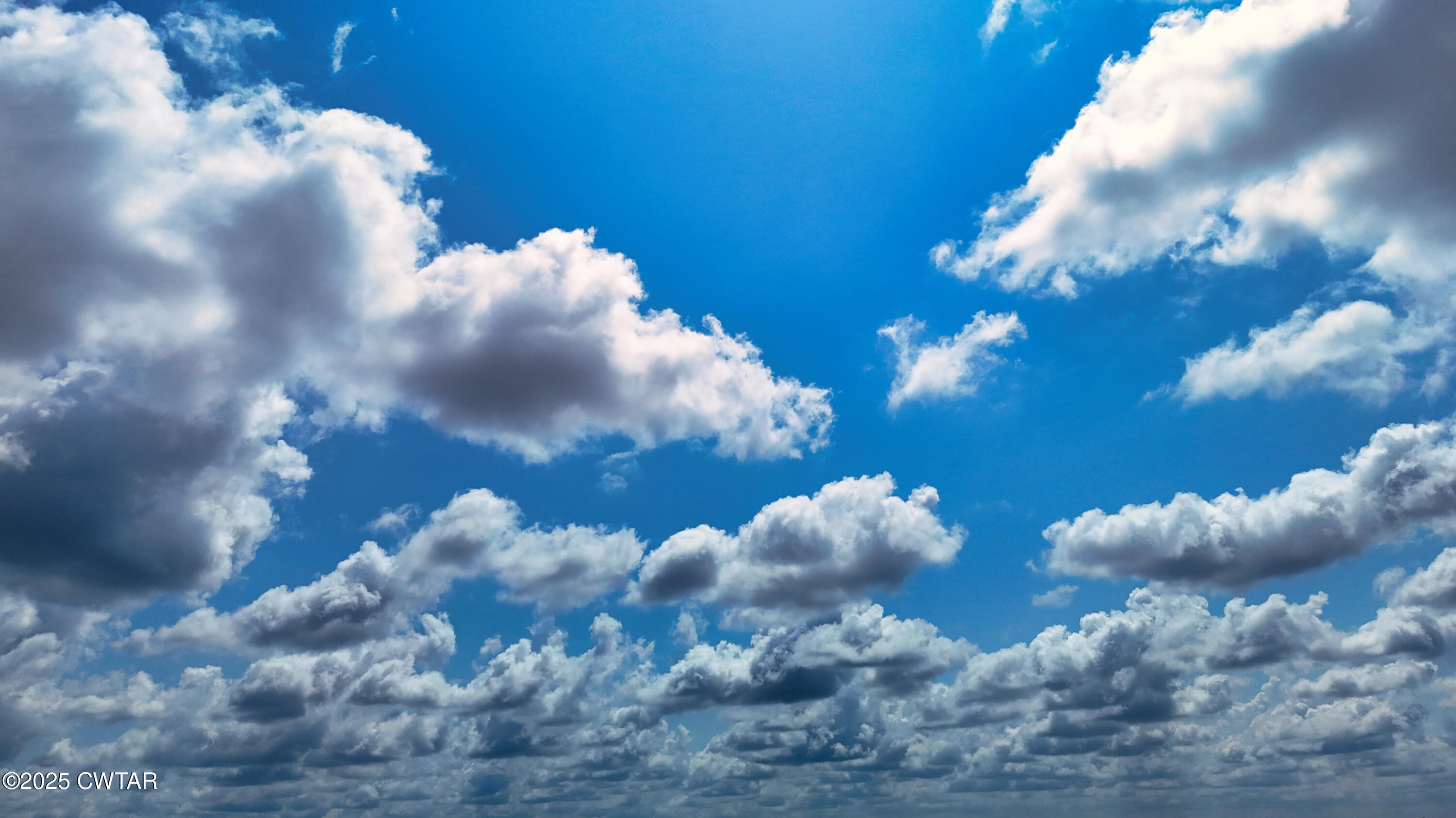 1575 Hurst Road Henderson, TN 38340 - Photo 5 of 7 a view of a flower