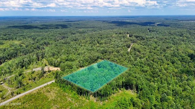 a view of a green field with lots of green space