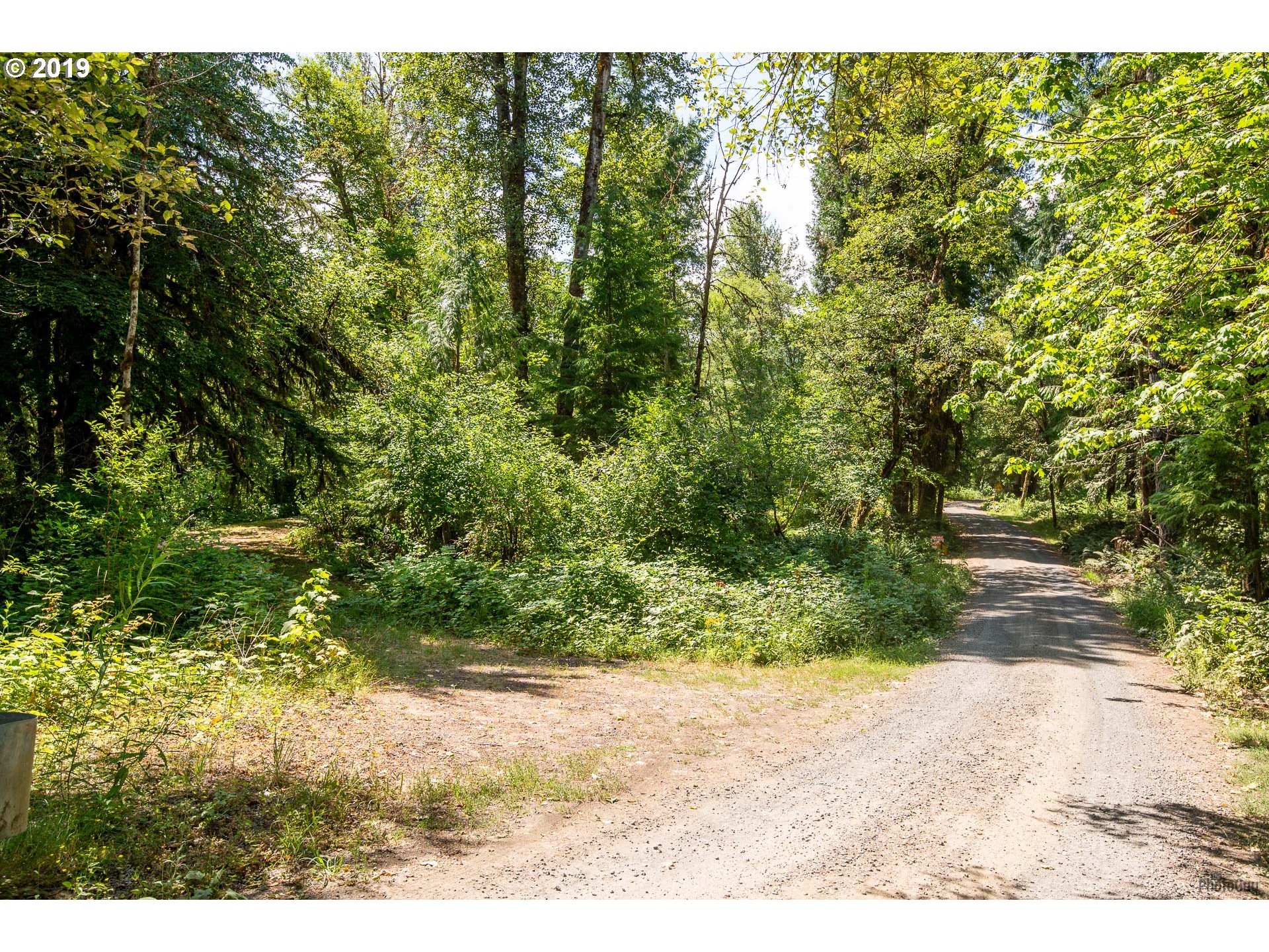 91575 Dearborn Island Road Blue River, OR 97413 - Photo 22 of 28 Gallery Image 22