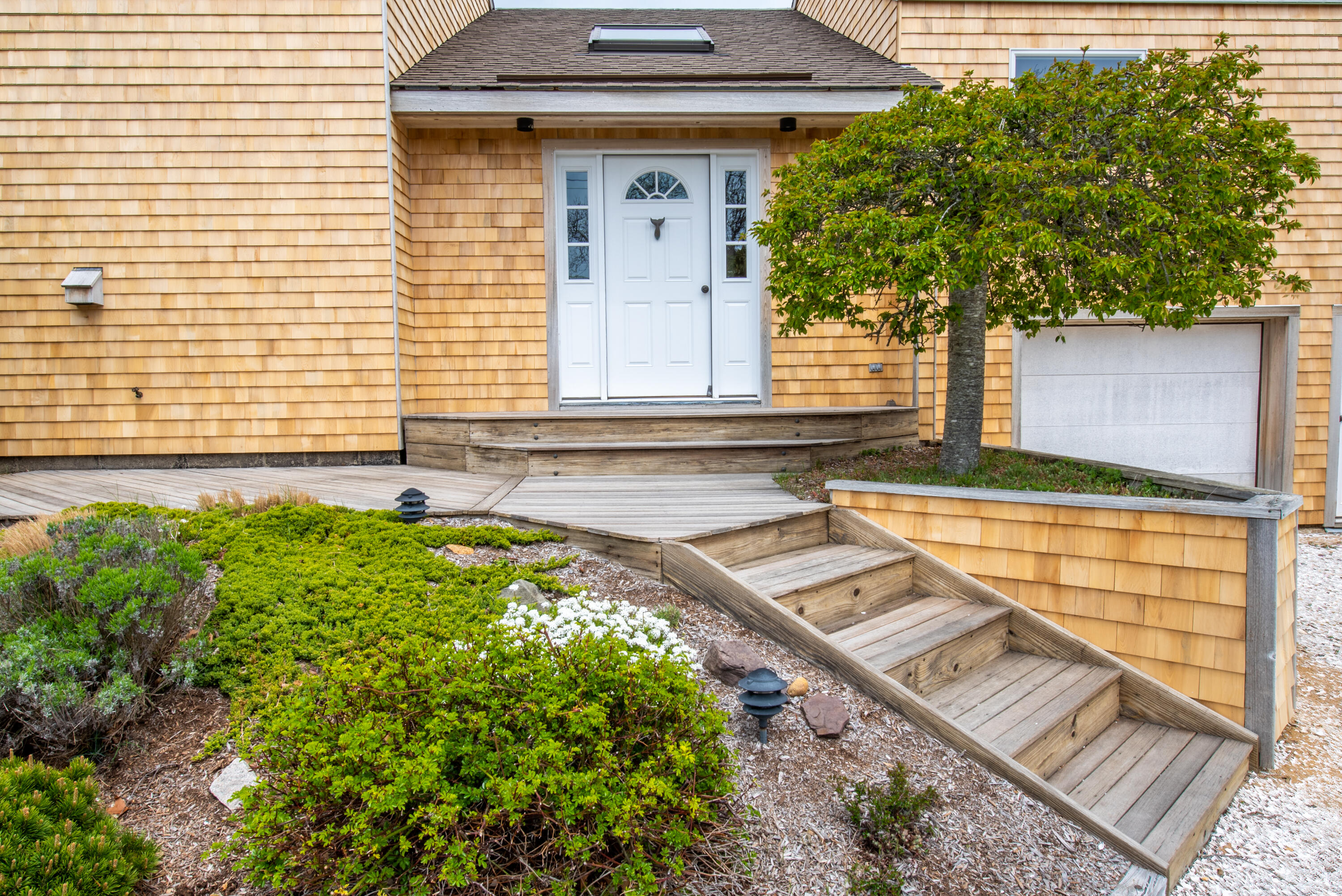 40 Ione Road Wellfleet, MA 02667 - Photo 6 of 30 a view of a backyard with a large tree