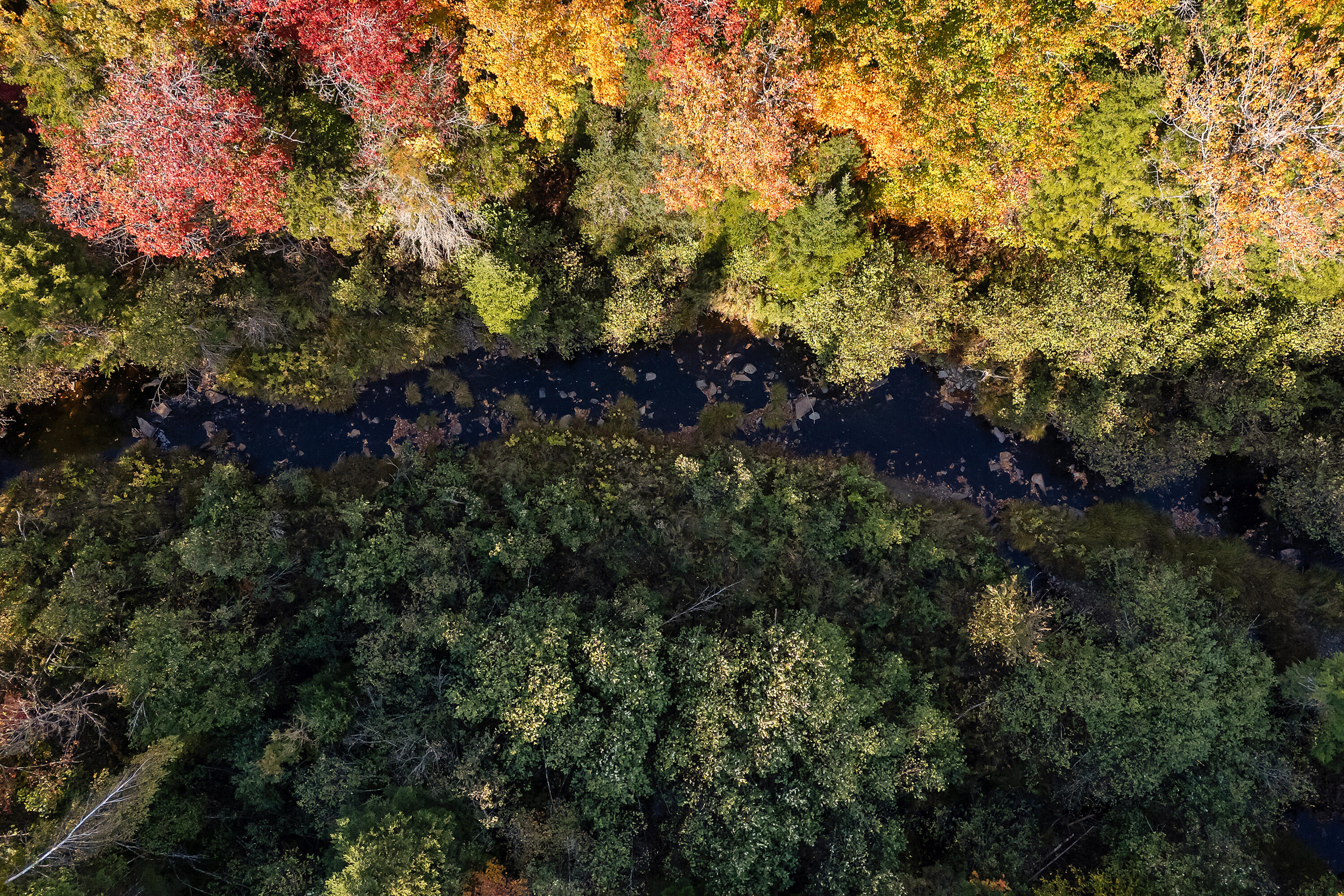 0 Taylor Cemetery Road Wellington, ME 04942 - Photo 3 of 6 Higgins Stream