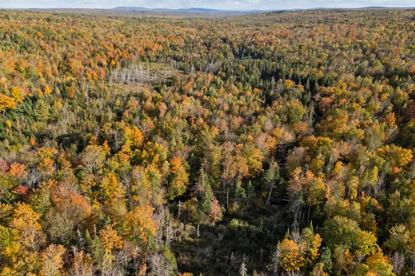 $140,000 | 0 Taylor Cemetery Road, Wellington, ME 04942