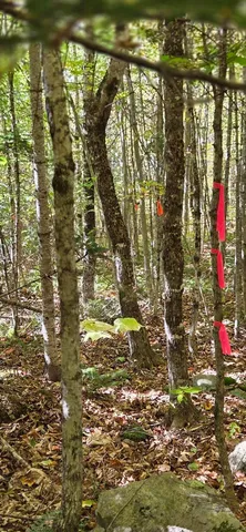 $140,000 | 0 Taylor Cemetery Road, Wellington, ME 04942