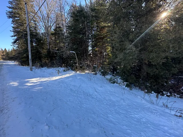 $39,900 | 0 Wilcox Road, Orient, ME 04471