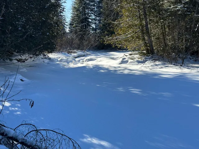 $39,900 | 0 Wilcox Road, Orient, ME 04471