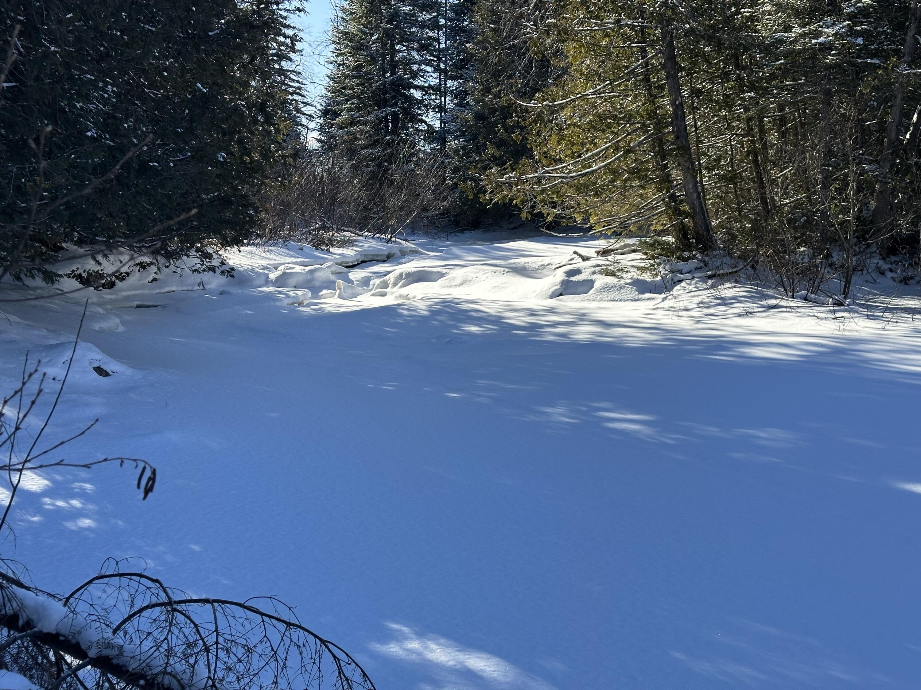 0 Wilcox Road Orient, ME 04471 - Photo 13 of 28 IMG_6163