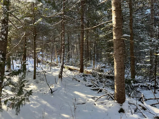 $39,900 | 0 Wilcox Road, Orient, ME 04471