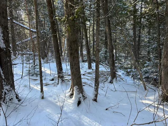 $39,900 | 0 Wilcox Road, Orient, ME 04471