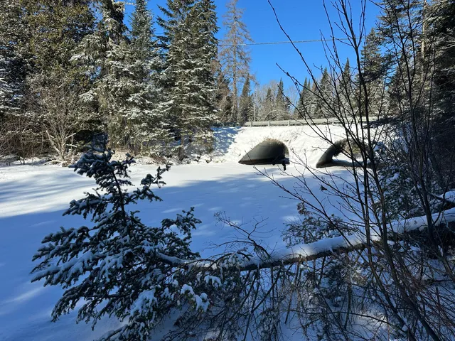 $39,900 | 0 Wilcox Road, Orient, ME 04471