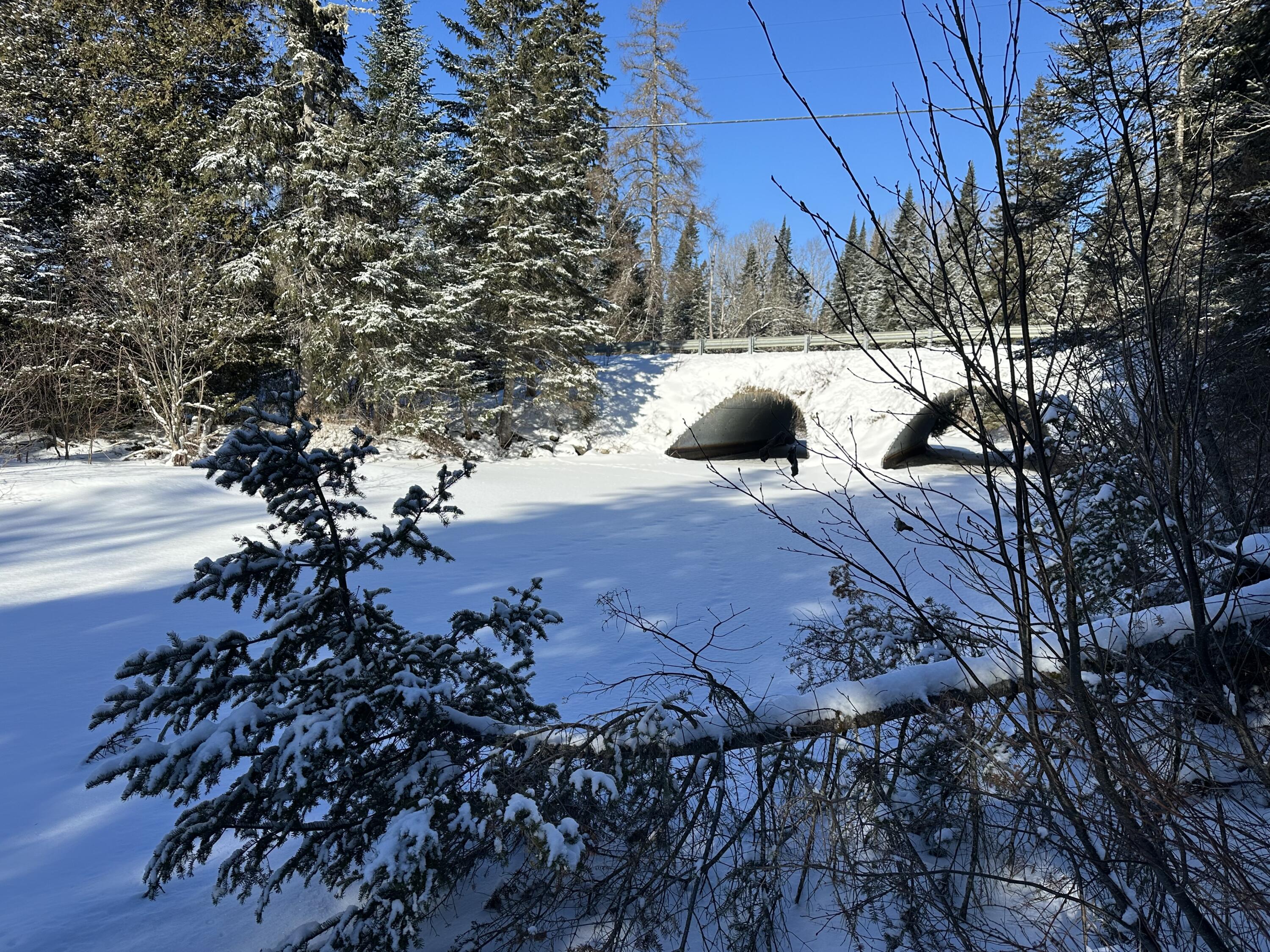 0 Wilcox Road Orient, ME 04471 - Photo 16 of 28 IMG_6161