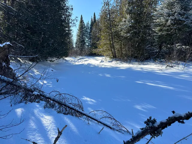 $39,900 | 0 Wilcox Road, Orient, ME 04471