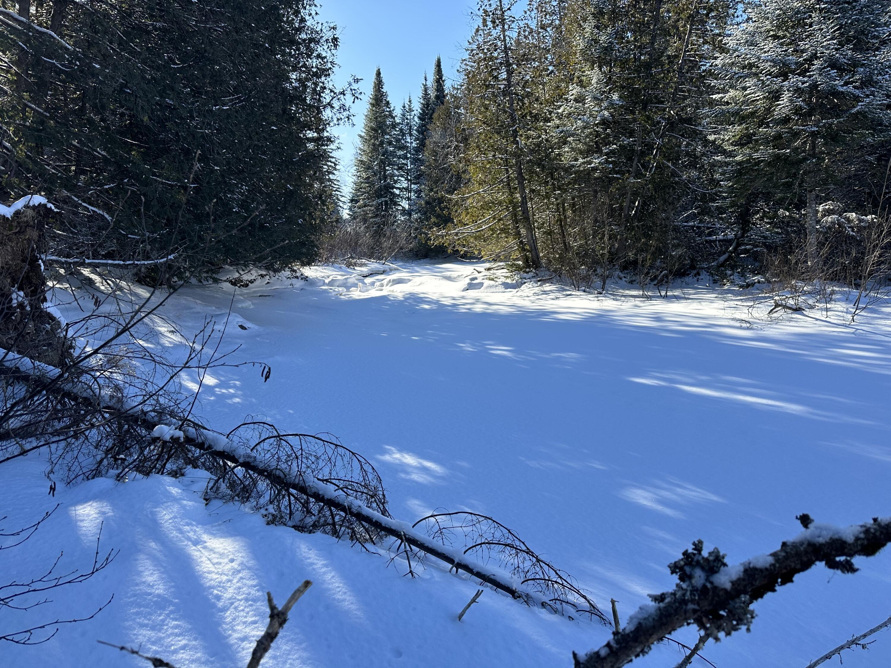 0 Wilcox Road Orient, ME 04471 - Photo 17 of 28 IMG_6162