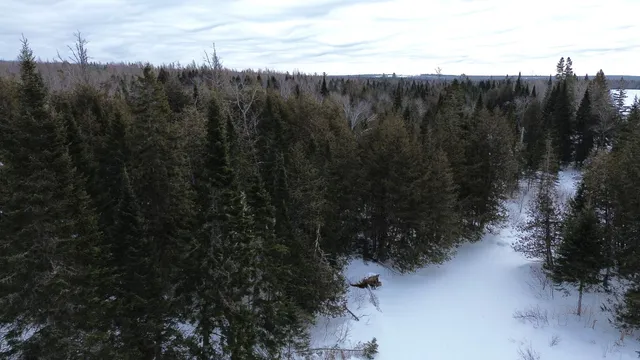 $39,900 | 0 Wilcox Road, Orient, ME 04471