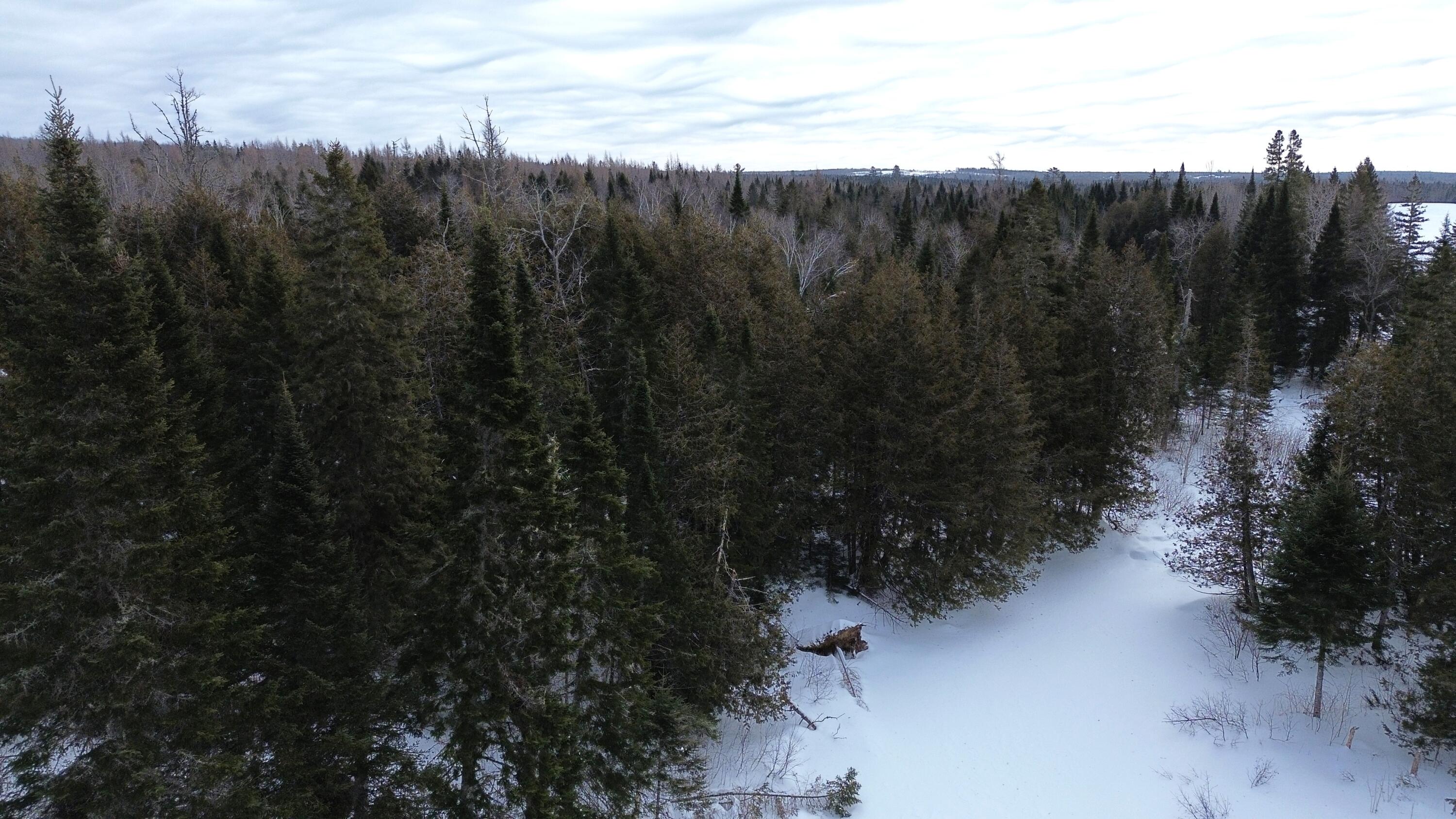 0 Wilcox Road Orient, ME 04471 - Photo 18 of 28 DJI_0113