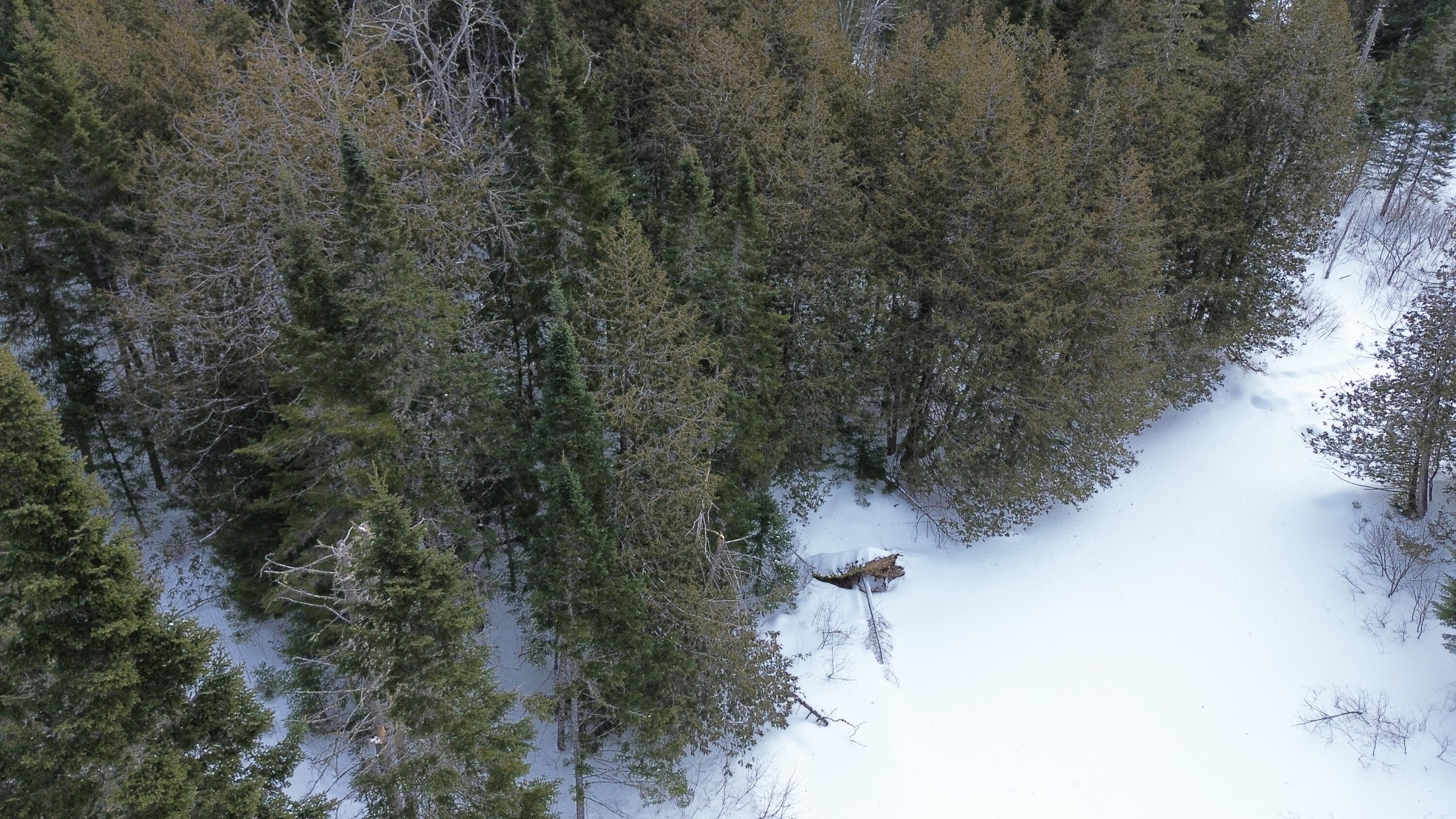 0 Wilcox Road Orient, ME 04471 - Photo 19 of 28 DJI_0101