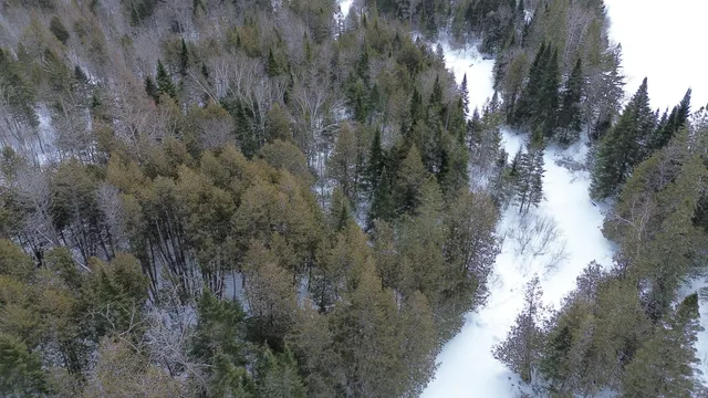 $39,900 | 0 Wilcox Road, Orient, ME 04471