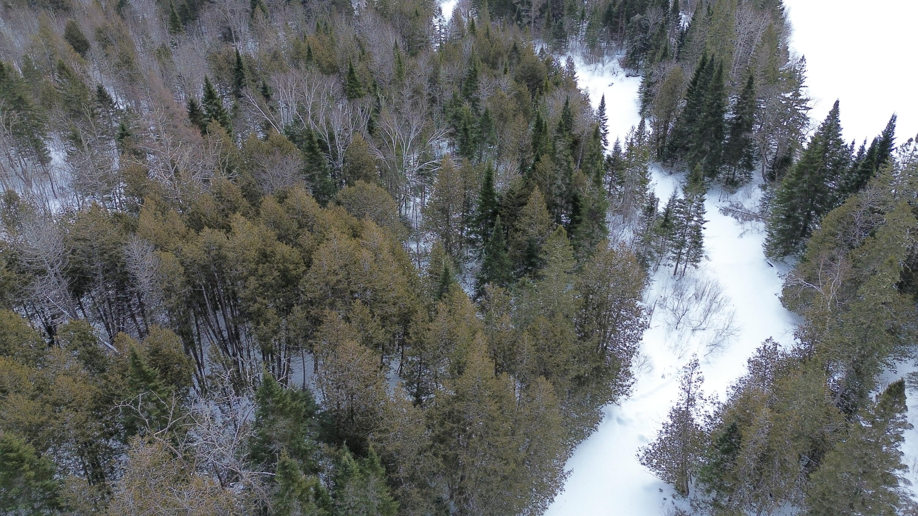 0 Wilcox Road Orient, ME 04471 - Photo 21 of 28 DJI_0103