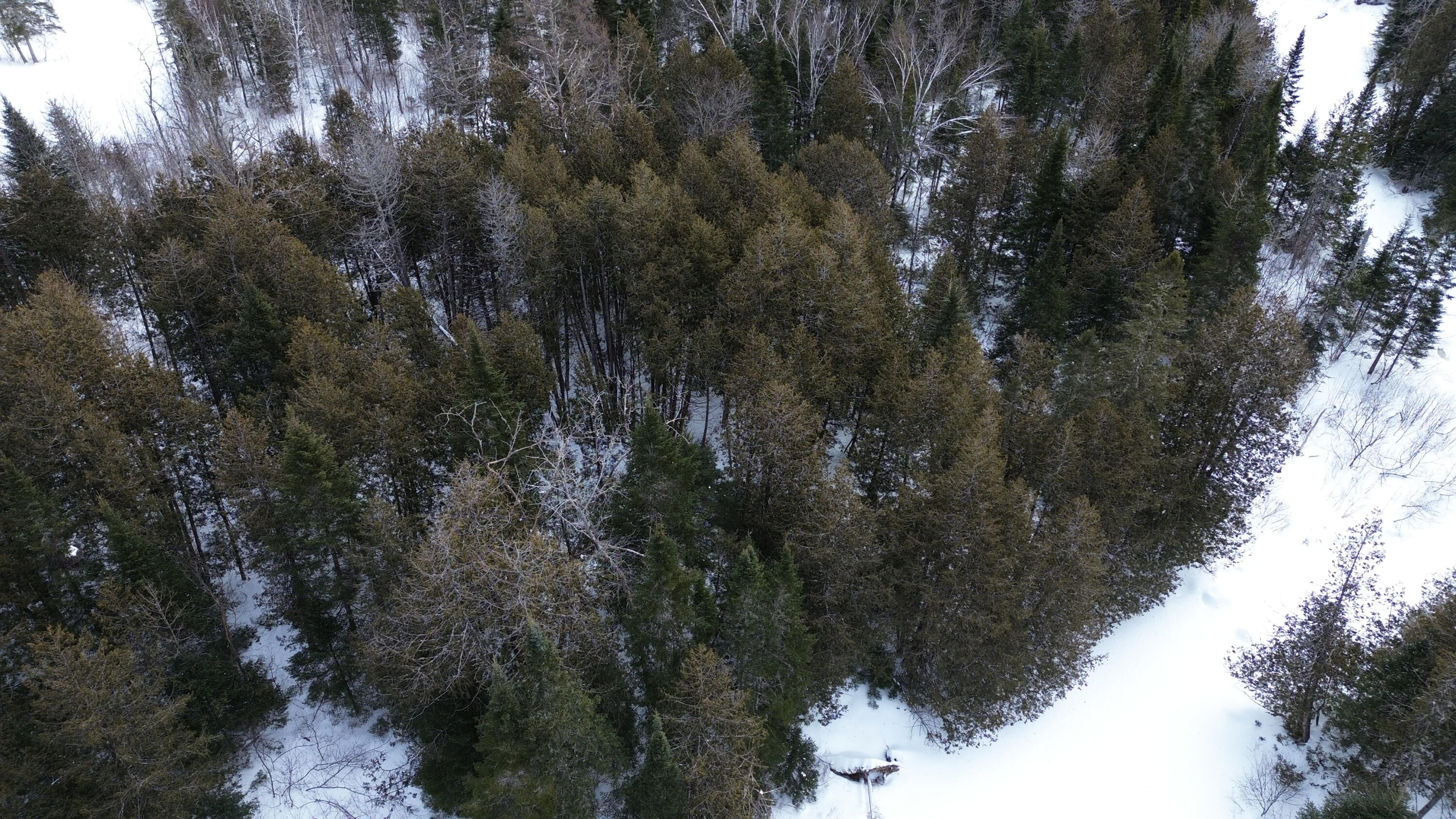 0 Wilcox Road Orient, ME 04471 - Photo 22 of 28 DJI_0104