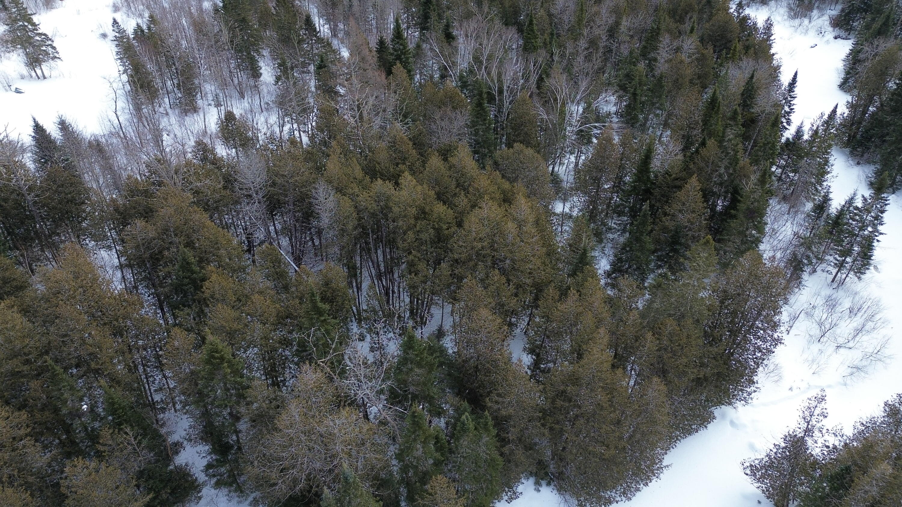 0 Wilcox Road Orient, ME 04471 - Photo 23 of 28 DJI_0105